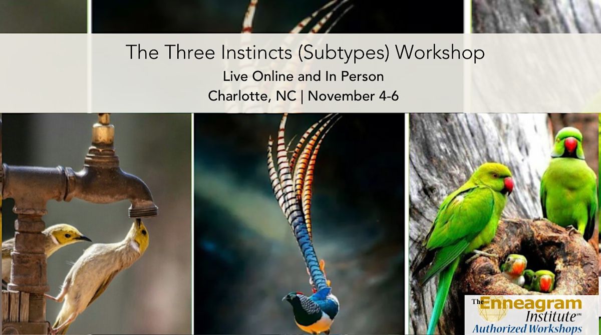 The Three Instincts (Subtypes)  Workshop