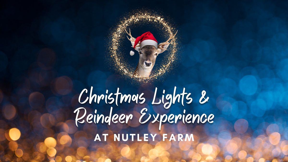 Christmas Lights & Reindeer Experience at Nutley Farm 2024