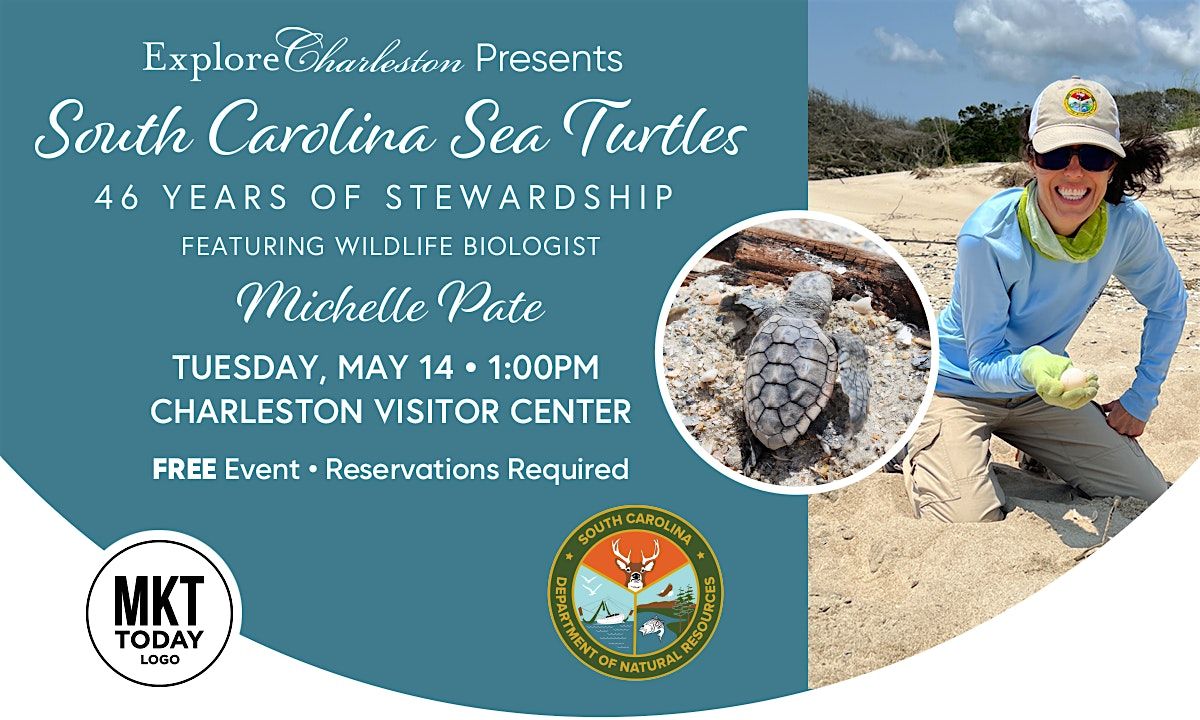 South Carolina Sea Turtles - 46 years of stewardship