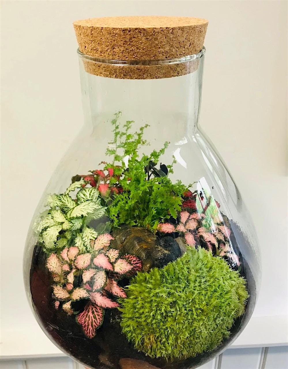 Terrarium Workshop - Halloween themed