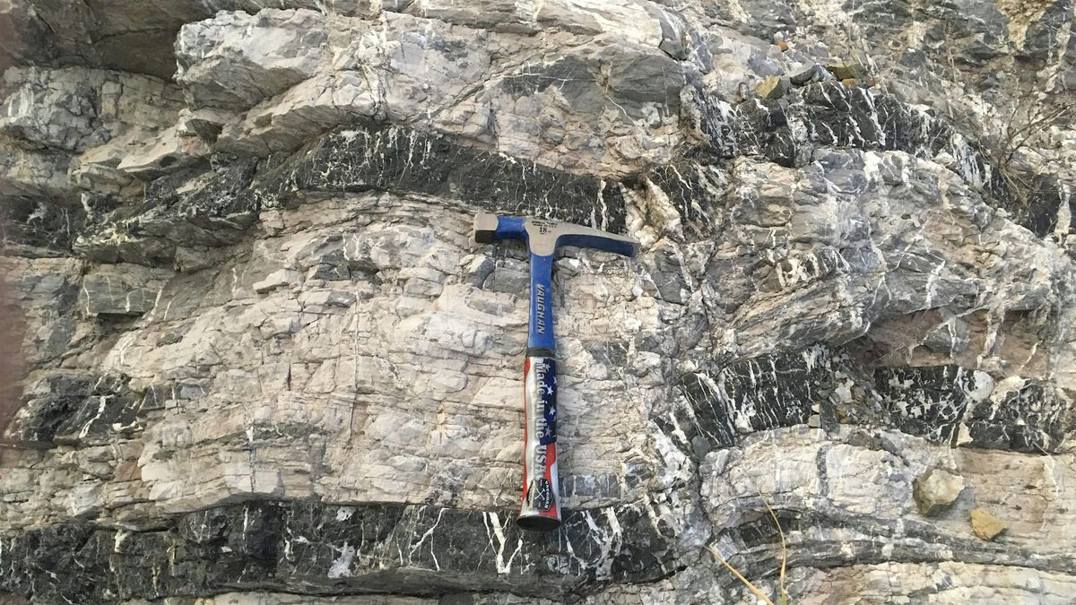 Bay Area Rocks for Kids