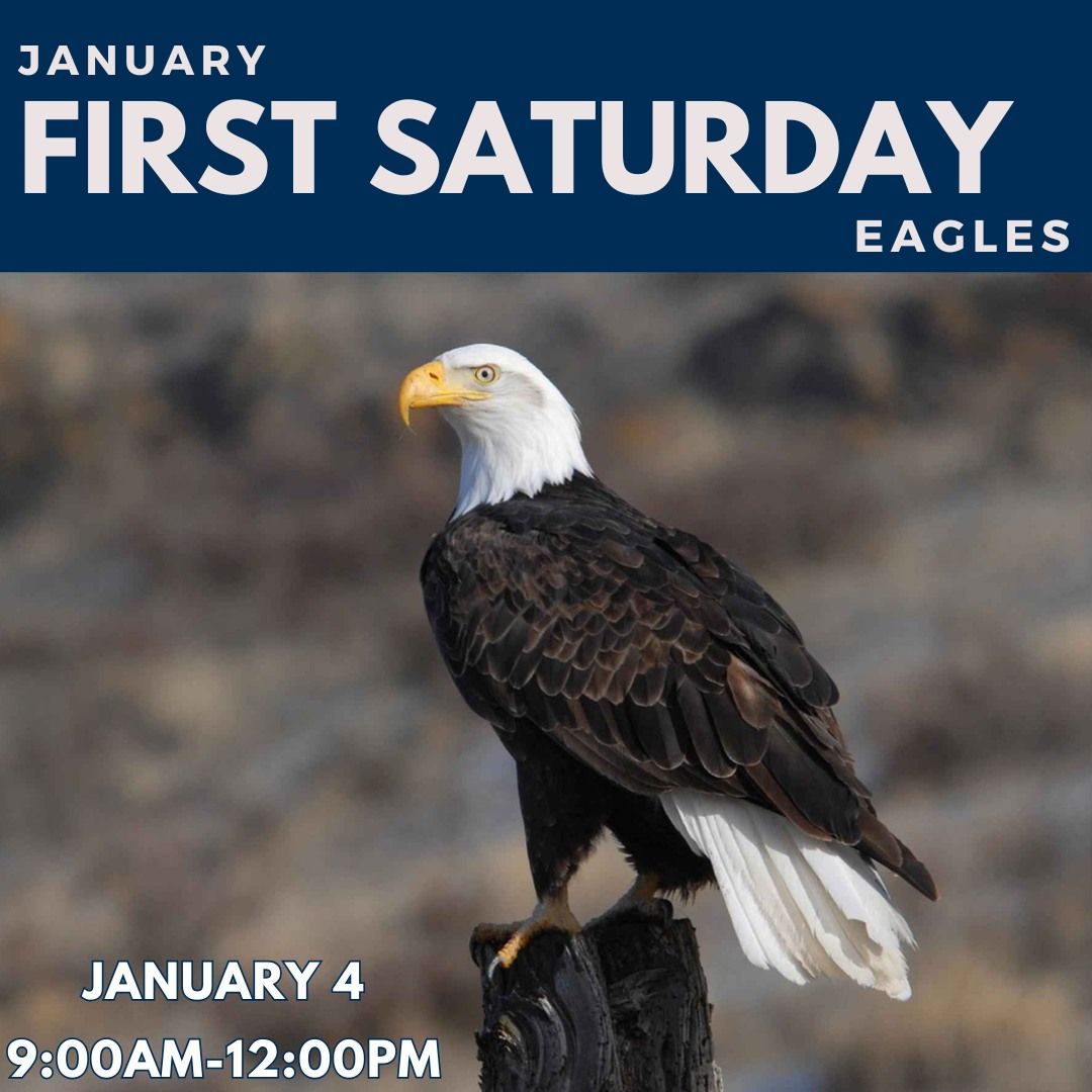 First Saturday - January