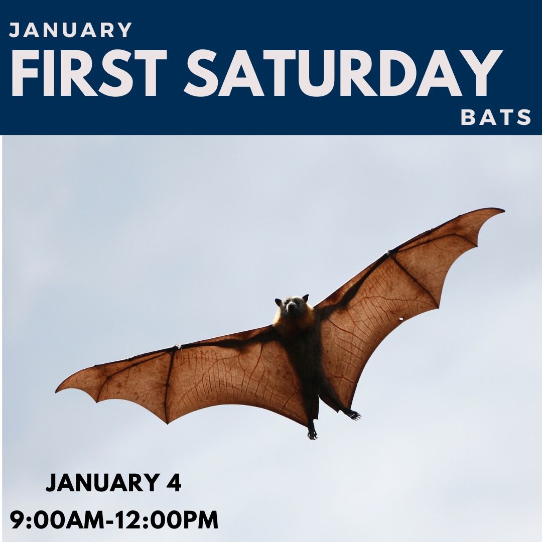 First Saturday - January