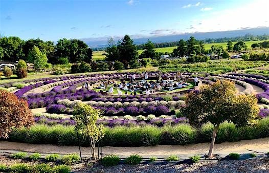 The Lavender Labyrinth Sound Bath Experience