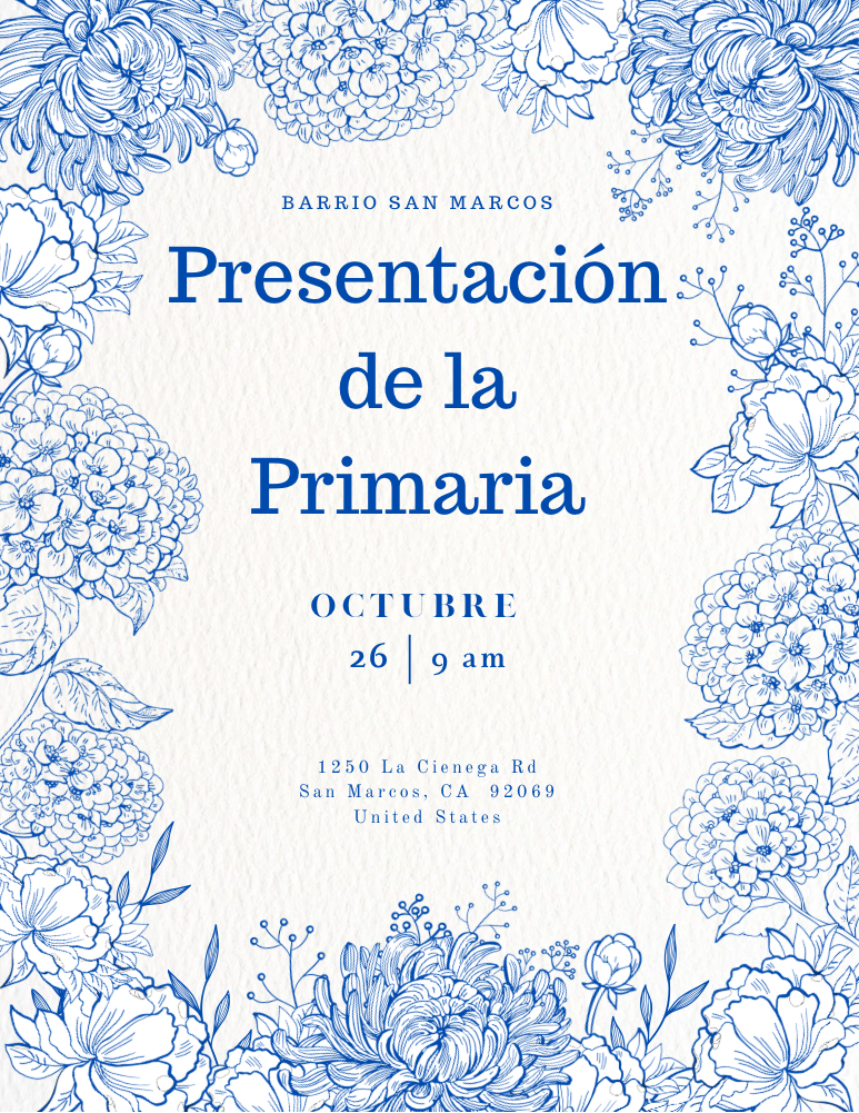 Programa de la Primaria