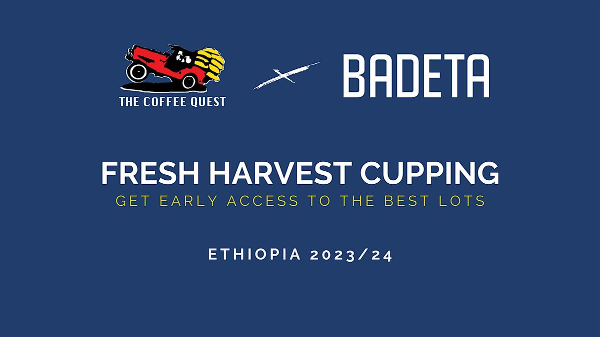 Fresh Harvest Cupping at Badeta Watergraafsmeer | Ethiopia 2023\/24