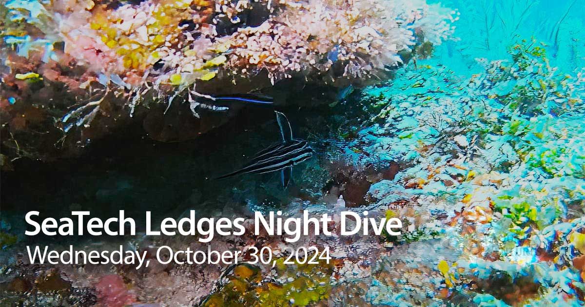 SeaTech Ledges Night Dive