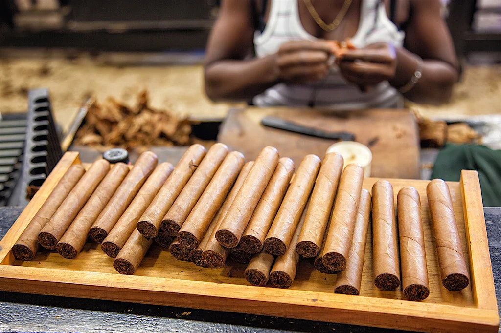 Cigar Rolling MasterClass