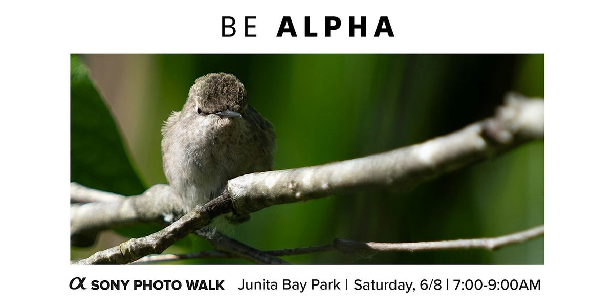 Juanita Bay Park Photo  Walk with Sony Alpha - w\/Dan Hawk
