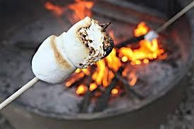 Drop in Marshmallow toasting at Hartshill Hayes Country Park