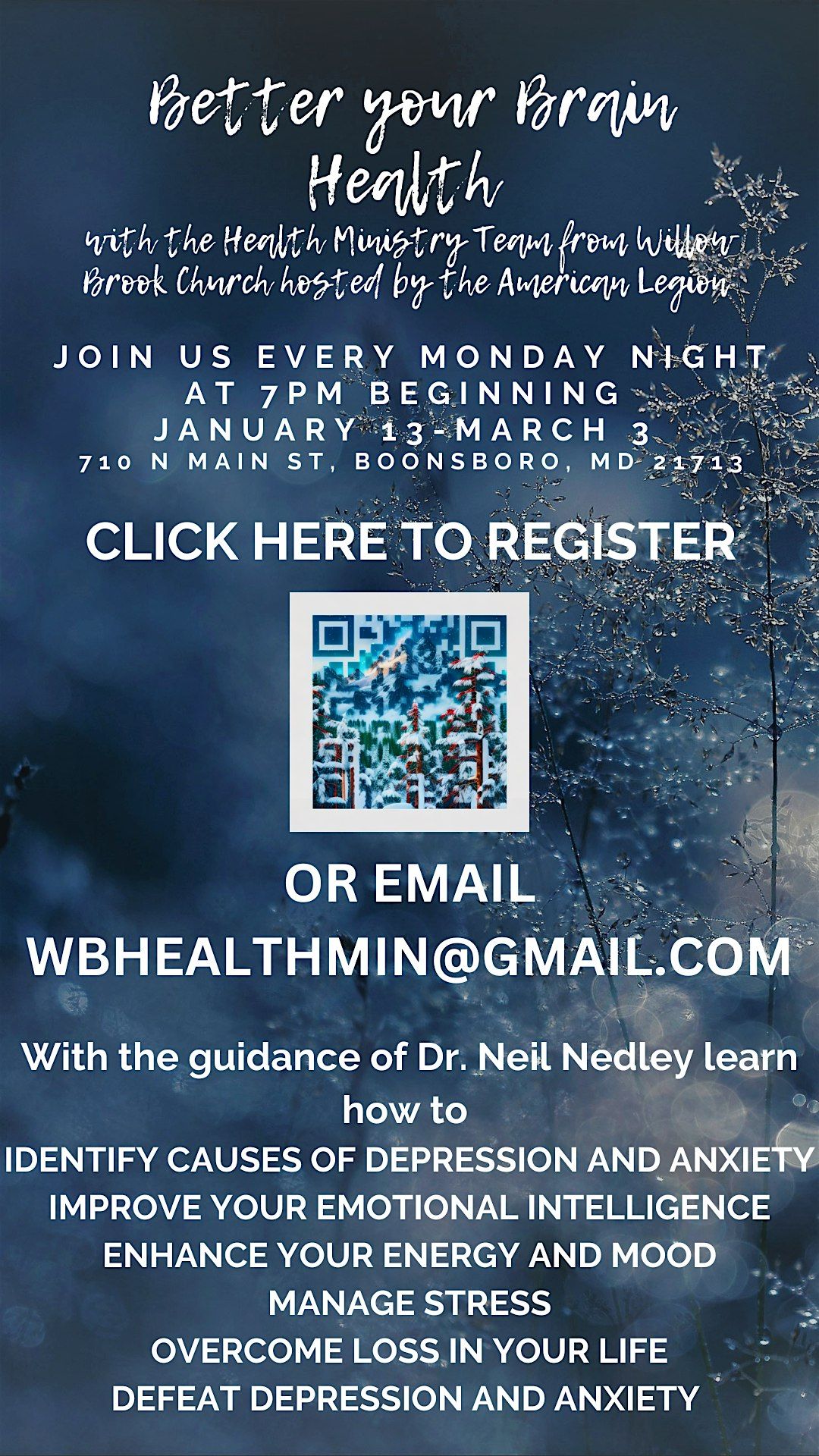 Nedley Depression and Anxiety Recovery Program