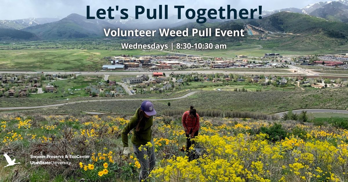Let's Pull Together! Volunteer W**d Pull Event
