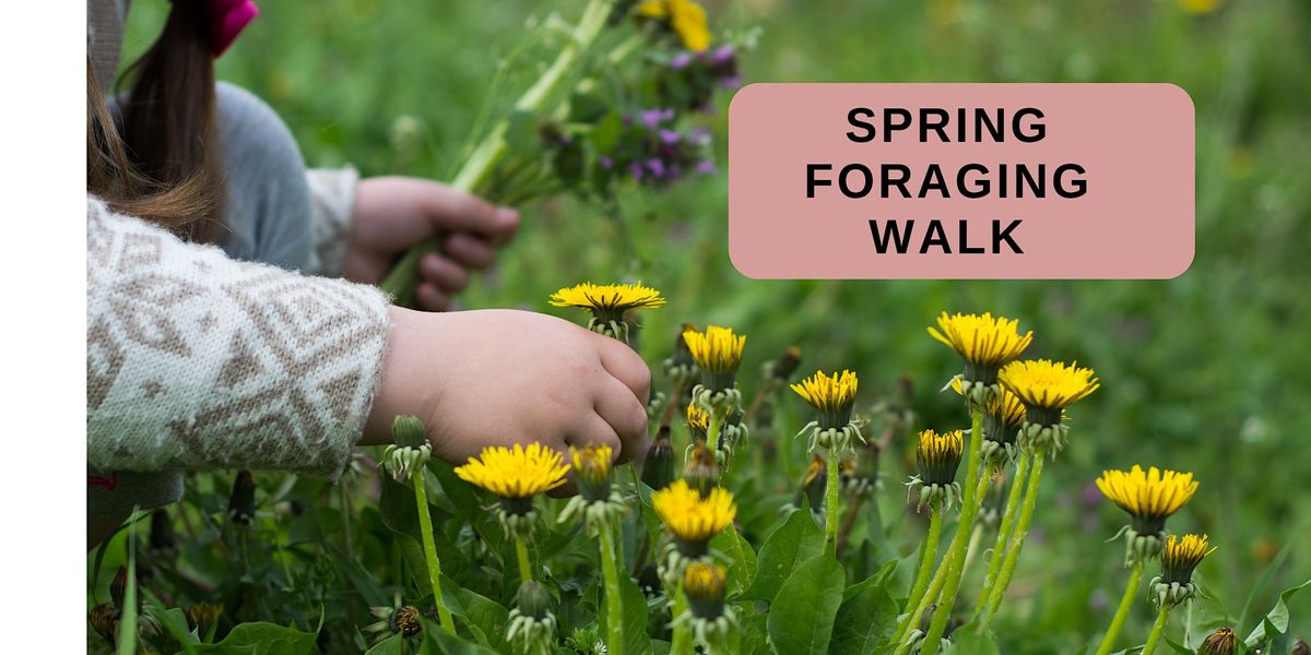 Spring  Foraging Walk