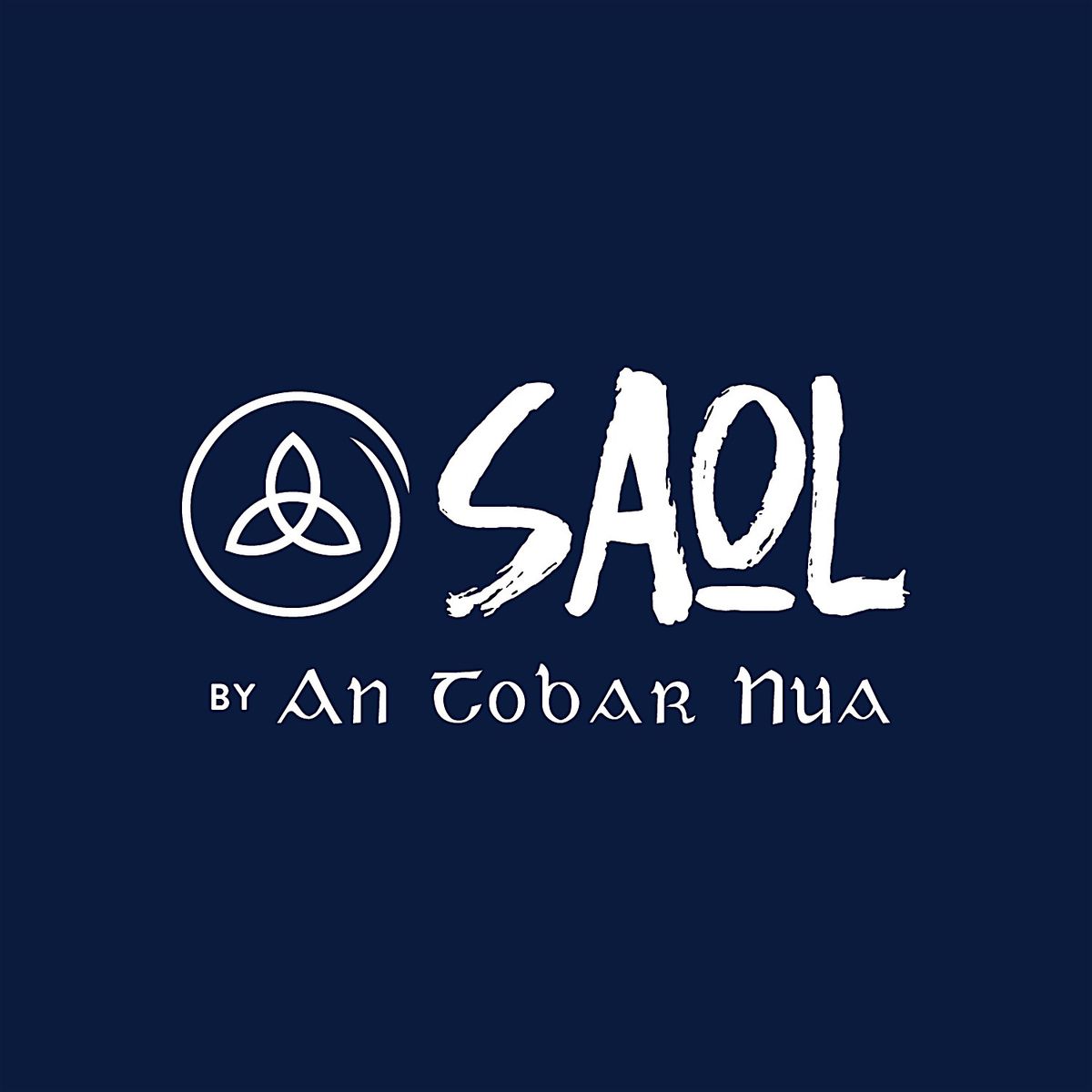 SAOL Training Day (4 CPD Hours for Religious Education Teachers)