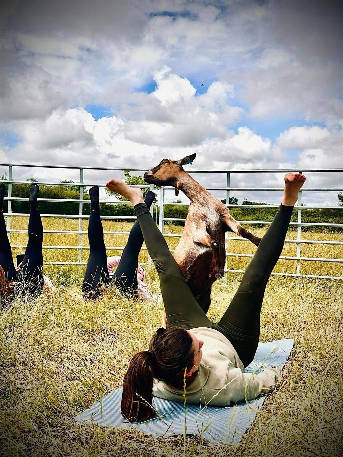 Goat Yoga