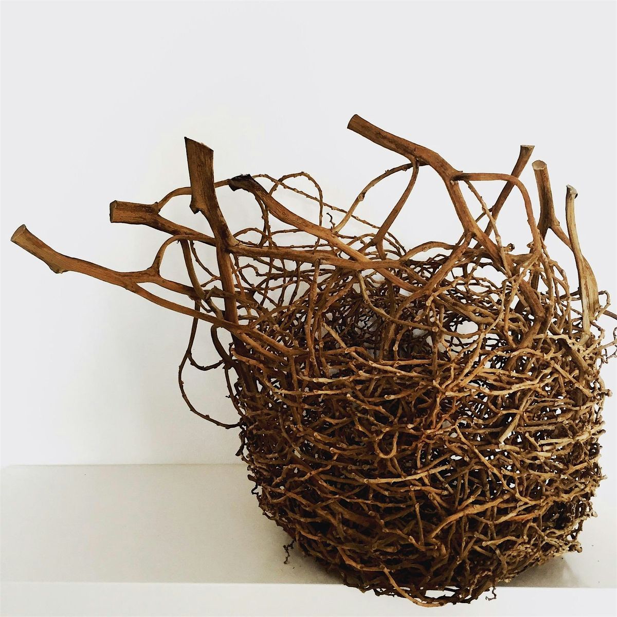 Basketry workshop - Random weave sculpture - Gosford