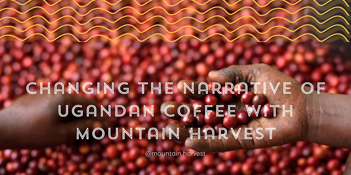 Changing the Narrative of Ugandan Coffee with Mountain Harvest