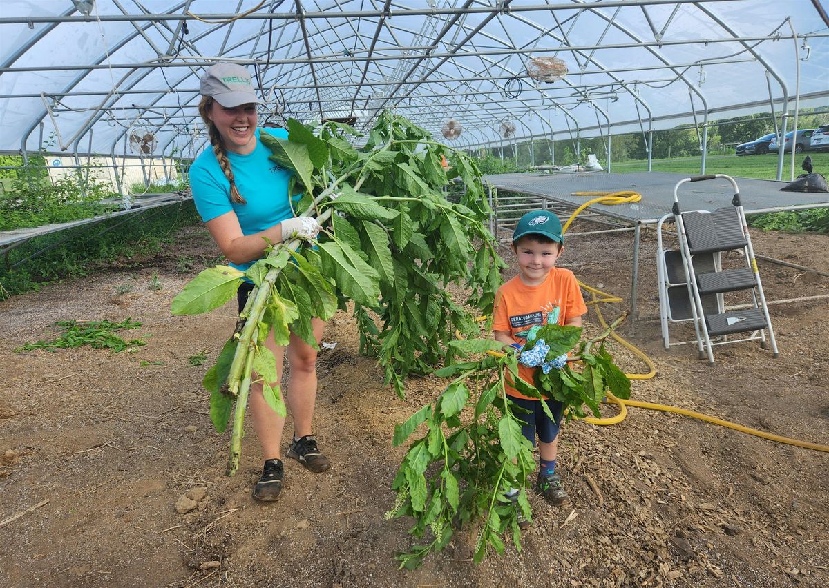 Trellis Volunteer Day at Lundale Farm