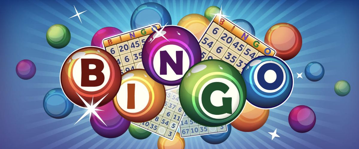 Bingo Is Back!!!!!