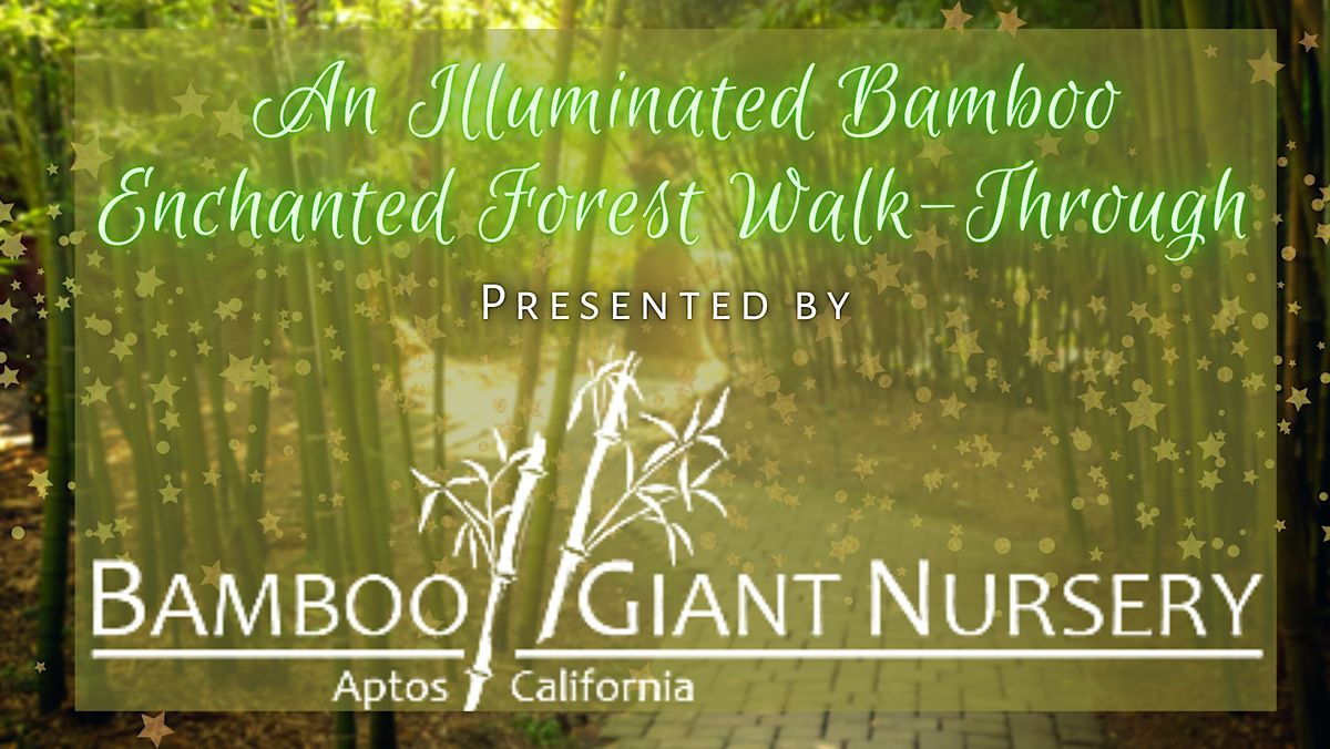 Illuminated Bamboo Enchanted Forest WalkThrough, Bamboo Giant Nursery and Gardens, Aptos, 2