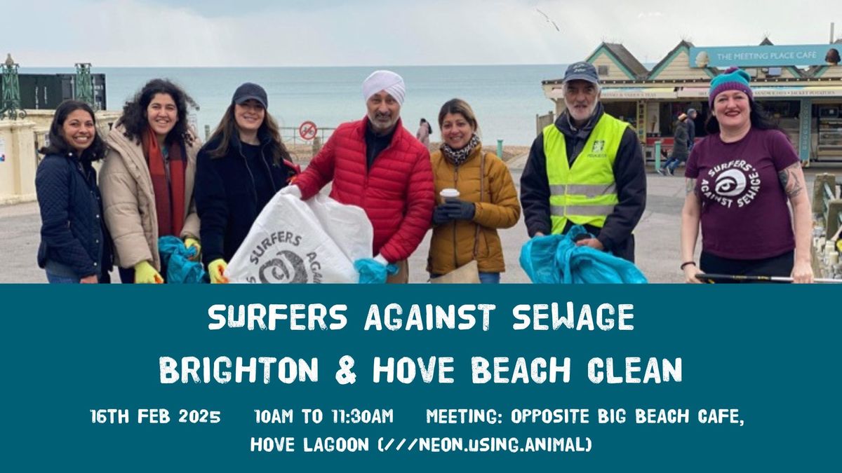 SAS Million Mile Brighton and Hove beach clean