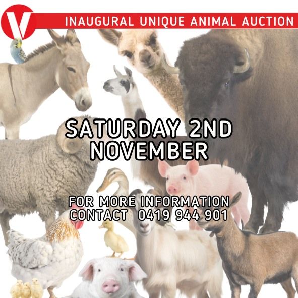 Unique Animal Auction!