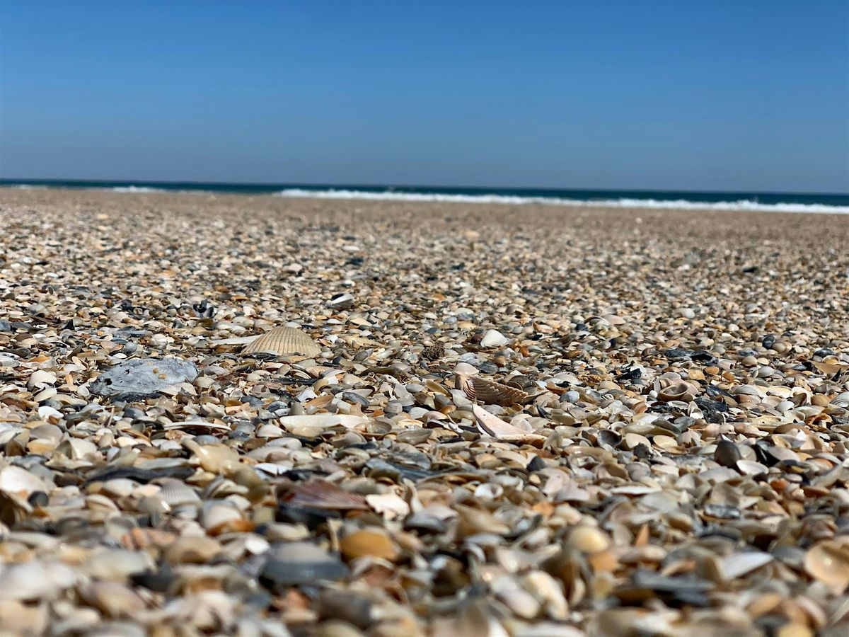 Little Talbot Island State Park: Beach Cleanup