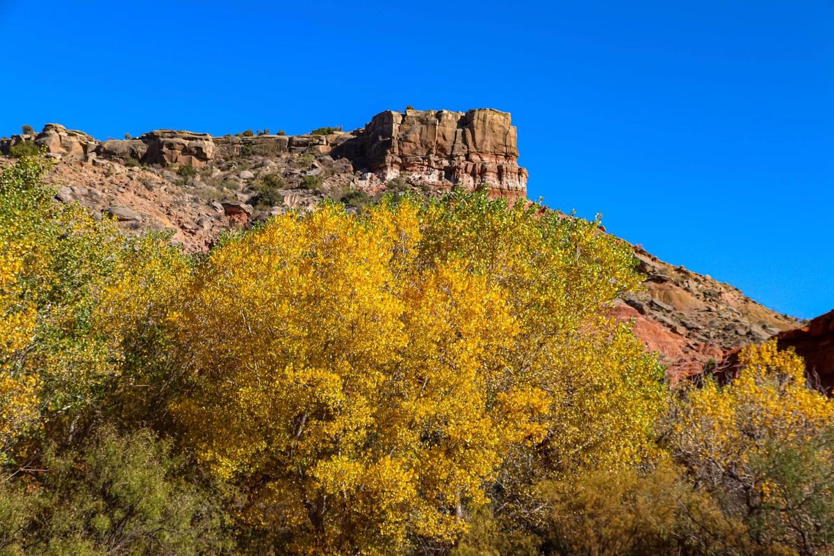 Partners In Palo Duro Canyon Foundation - 2025 Photography Contest