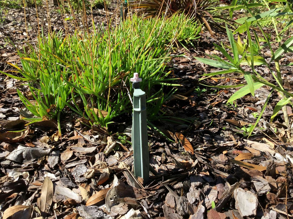 Microirrigation for Home Landscapes-Lakeland (free kit included)