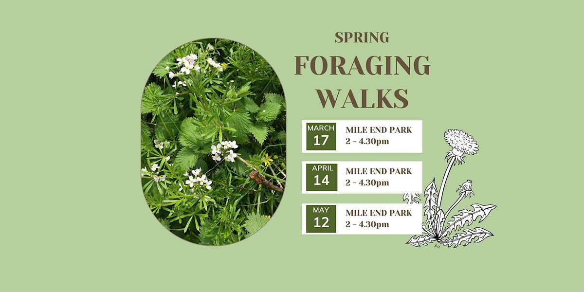 Spring Foraging Walks