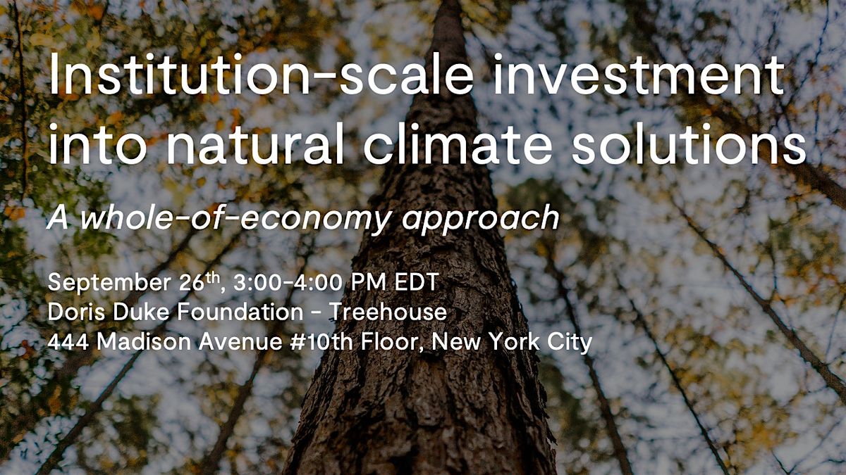 Institution-scale investment into natural climate solutions