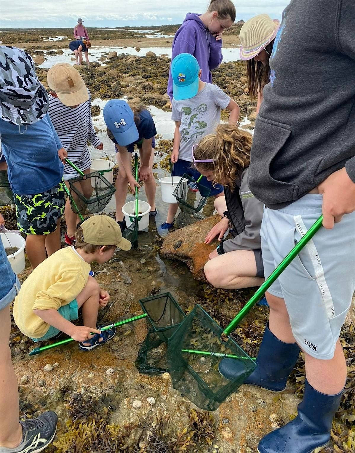 Rockpool Ramble