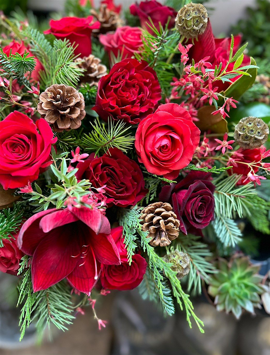 IN STUDIO - Christmas Centerpiece