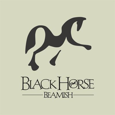 Black Horse Beamish