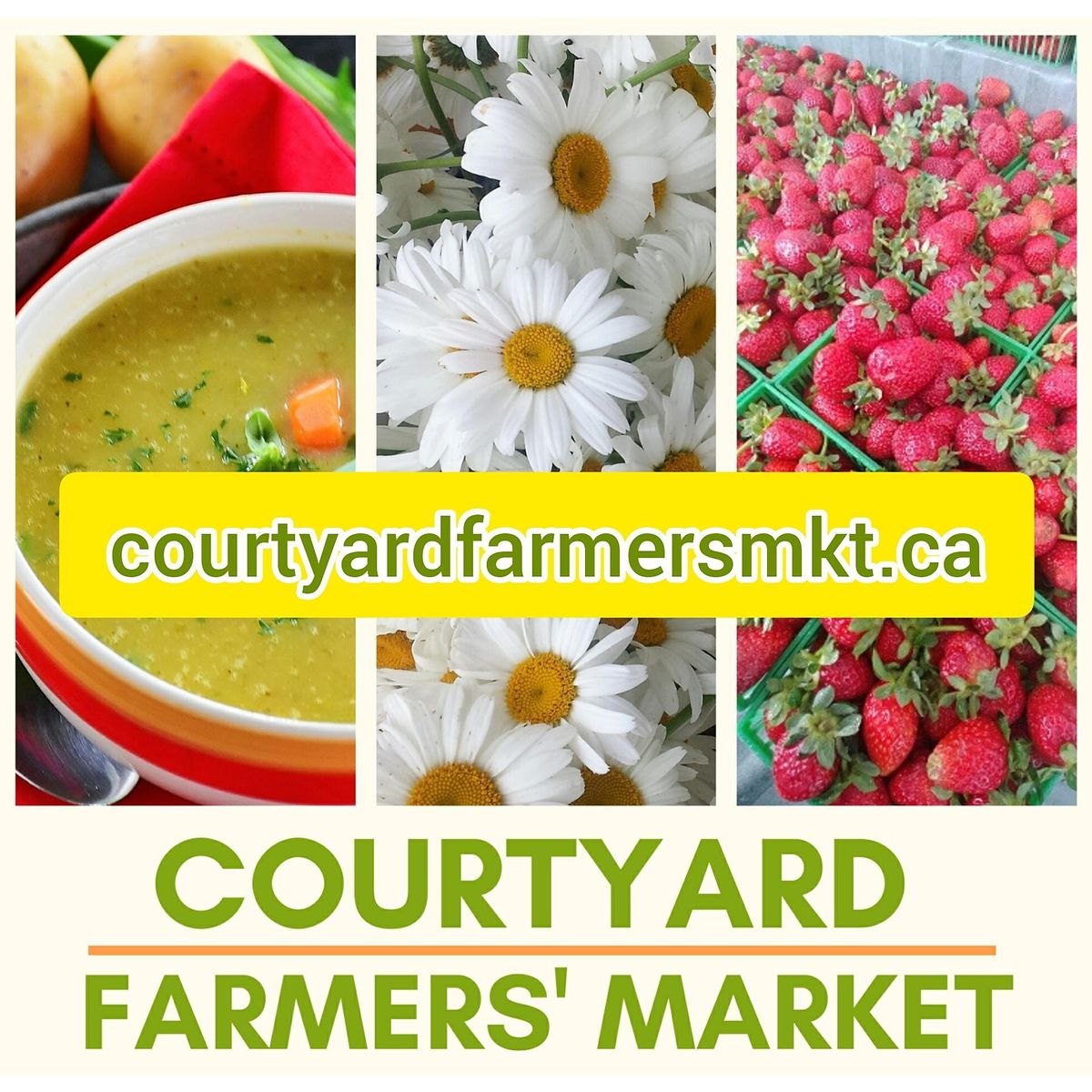 2022 Courtyard Farmers' Market - Fairmount Park