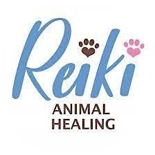 Fur Baby Friday - Animal Reiki by Paws for Reiki