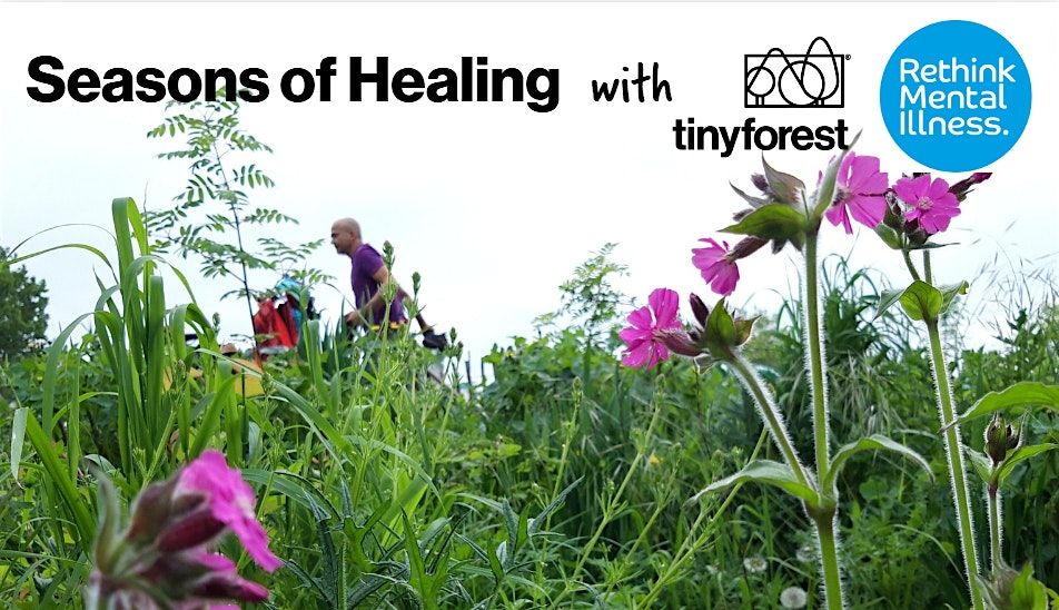 Seasons of Healing \u2013 Summer Workshop at Normand Park Tiny Forest