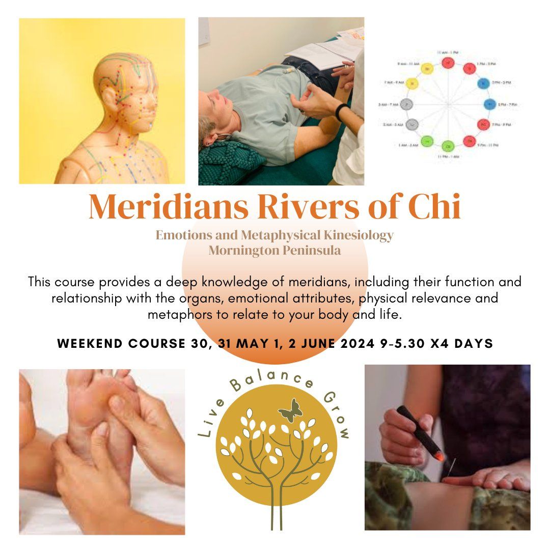 Meridians Rivers of Chi Kinesiology