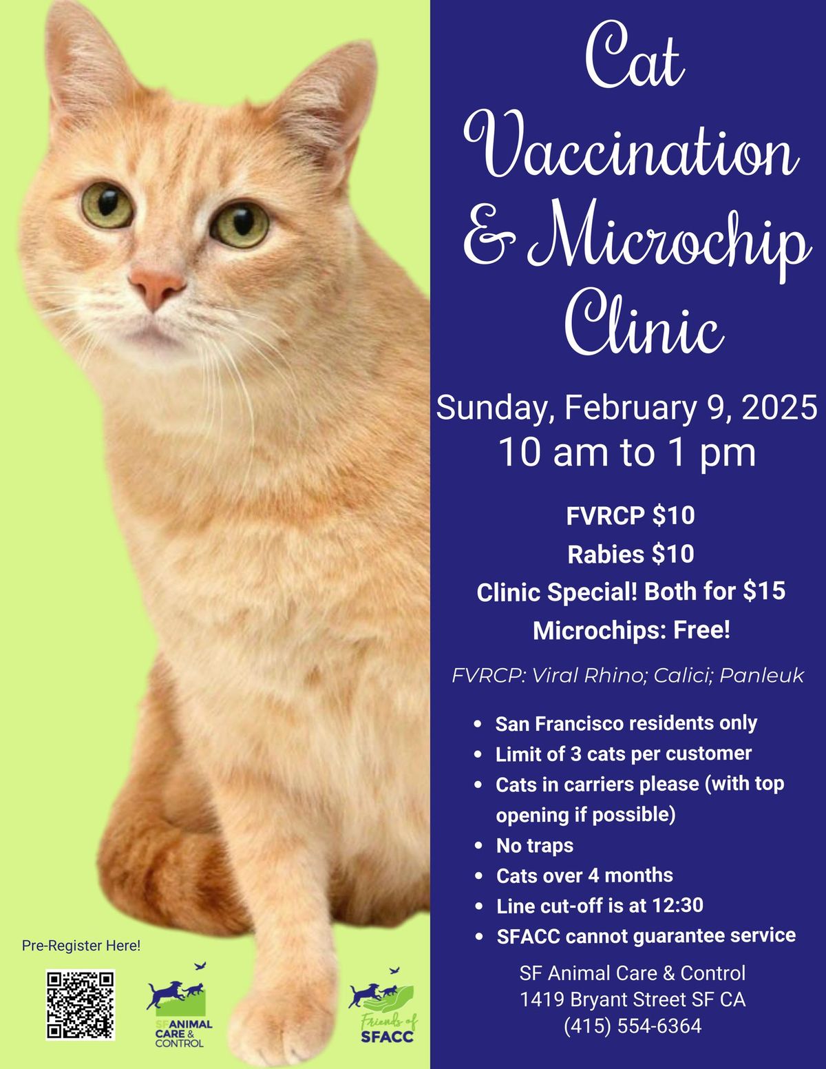 Cat Vaccination & Microchip Clinic 