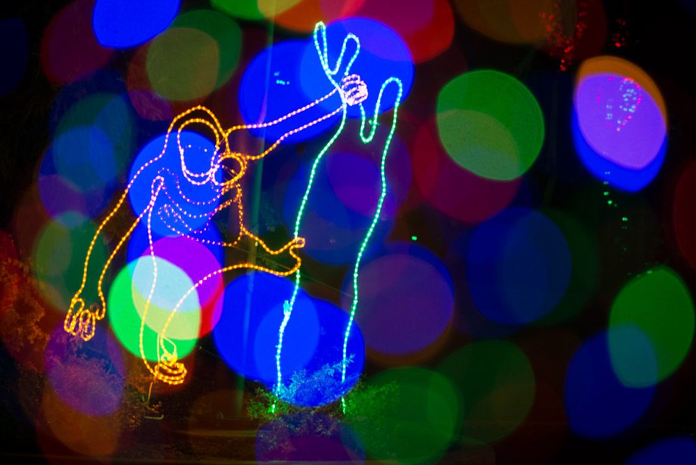 ZooLights sensory friendly night 