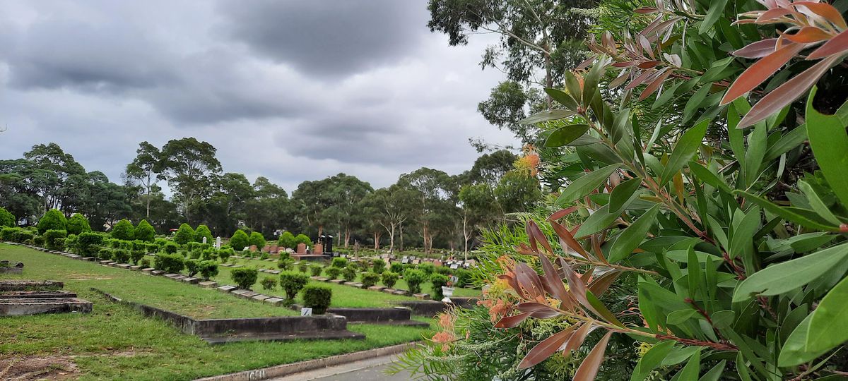 Cemetery History Tours at Frenchs Forest Bushland Cemetery