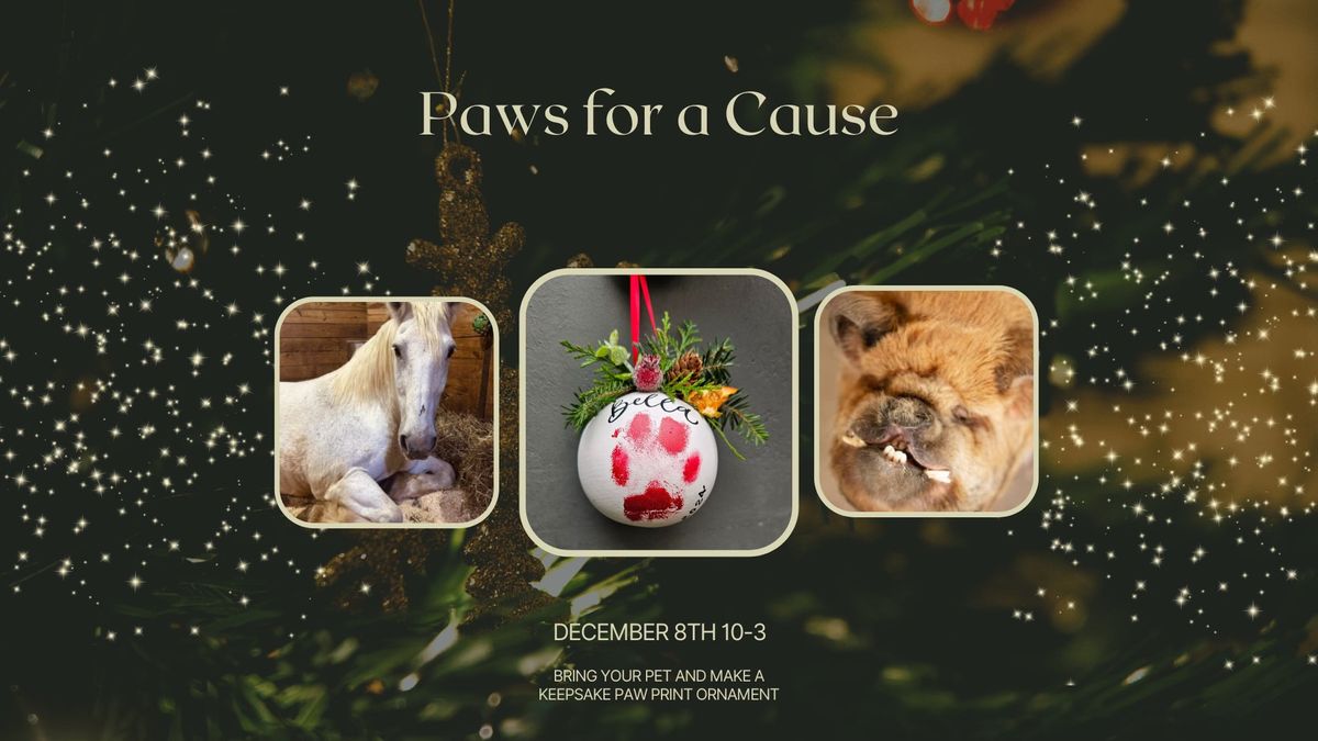 Paws for a Cause