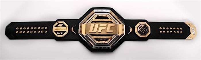 UFC 309 Fight Watch