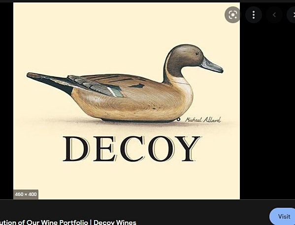 Cooking with the Decoy Flock