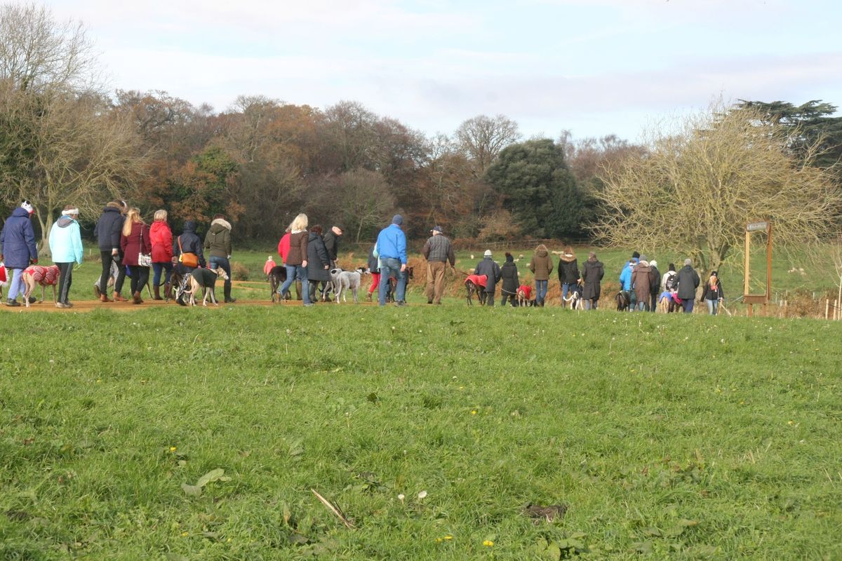 Social Charity Walks, Dorset