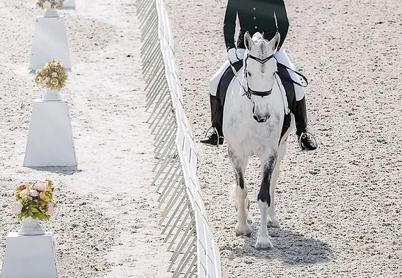 WARM UP "reprise de dressage cce" avec Laure ESLAN