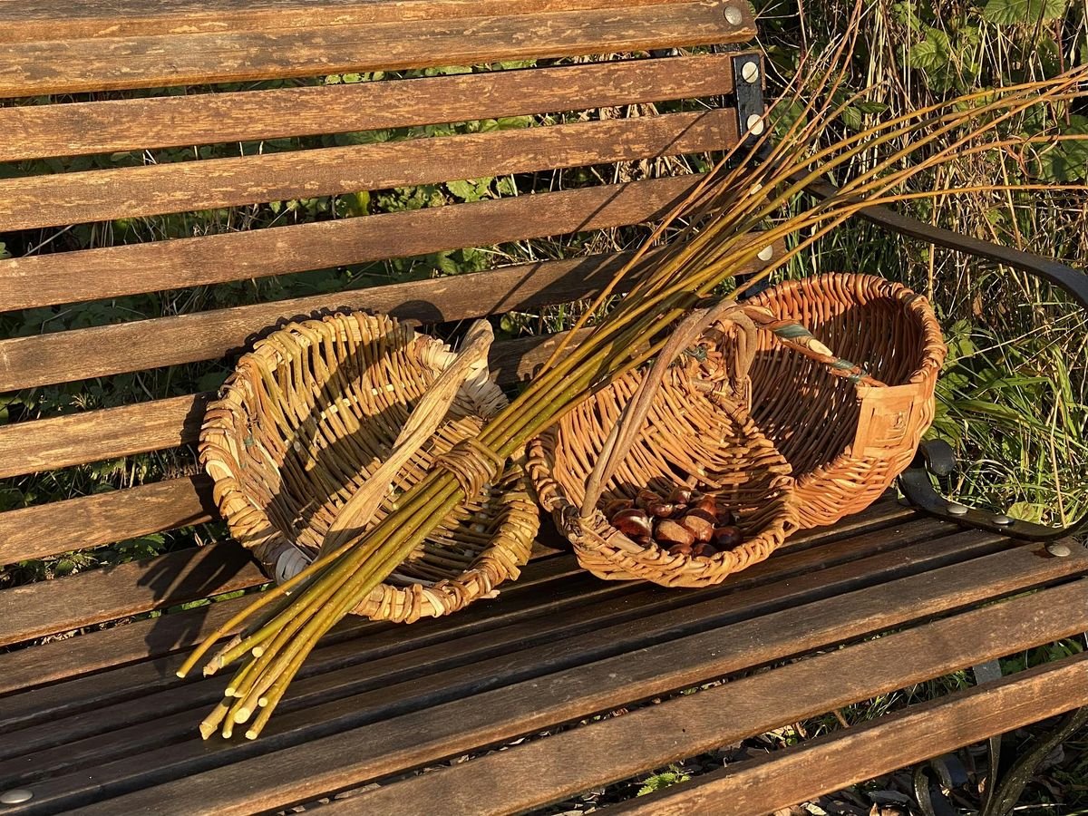 HEDGEROW FORAGING BASKET WORKSHOP