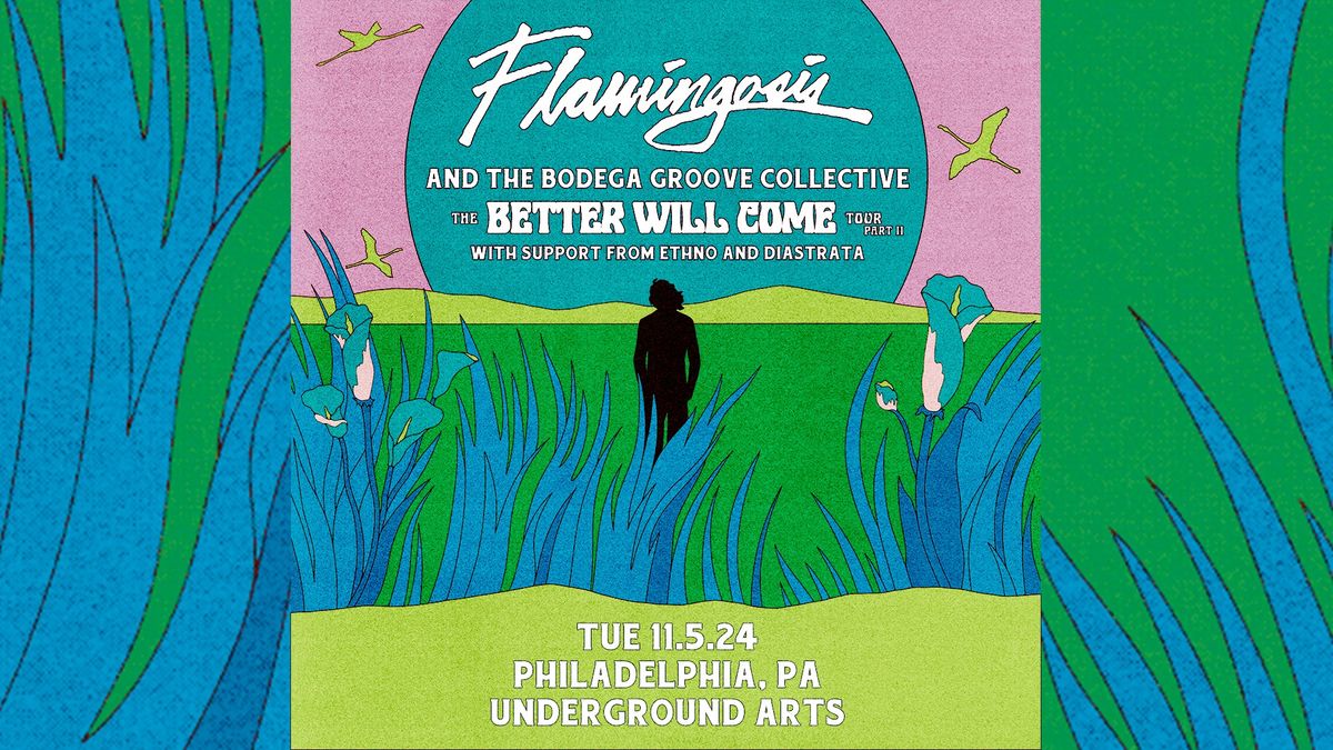 Flamingosis \u2013 The Better Will Come Tour Part II @ Underground Arts 11.5