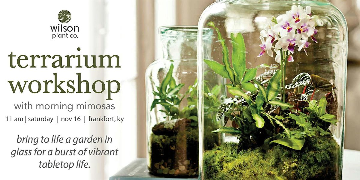 Terrarium Workshop (with morning mimosas)