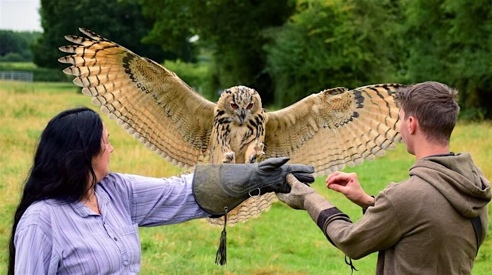 Birds of Prey Experience with Mercer Falconry